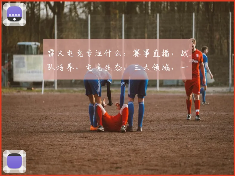 雷火电竞专注什么，赛事直播，战队培养，电竞生态，三大领域，一网打尽