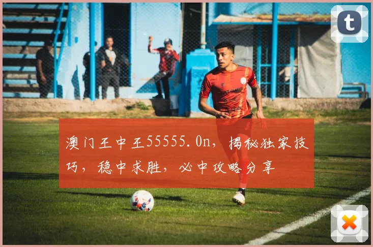 澳门王中王55555.0n，揭秘独家技巧，稳中求胜，必中攻略分享