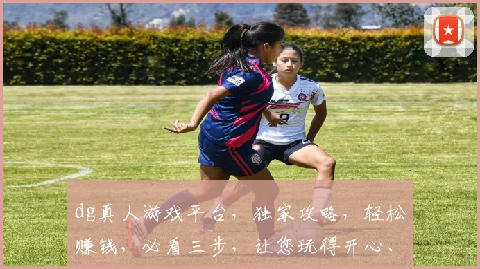 dg真人游戏平台，独家攻略，轻松赚钱，必看三步，让您玩得开心、赚得更多