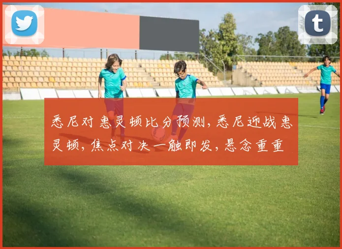 悉尼对惠灵顿比分预测,悉尼迎战惠灵顿,焦点对决一触即发,悬念重重